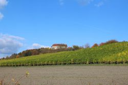 Weinfahrt-29.10.2016-40