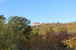 Weinfahrt-29.10.2016-46