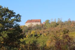 Weinfahrt-29.10.2016-47