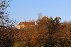 Weinfahrt-29.10.2016-56