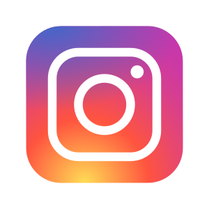 icons8 instagram 300